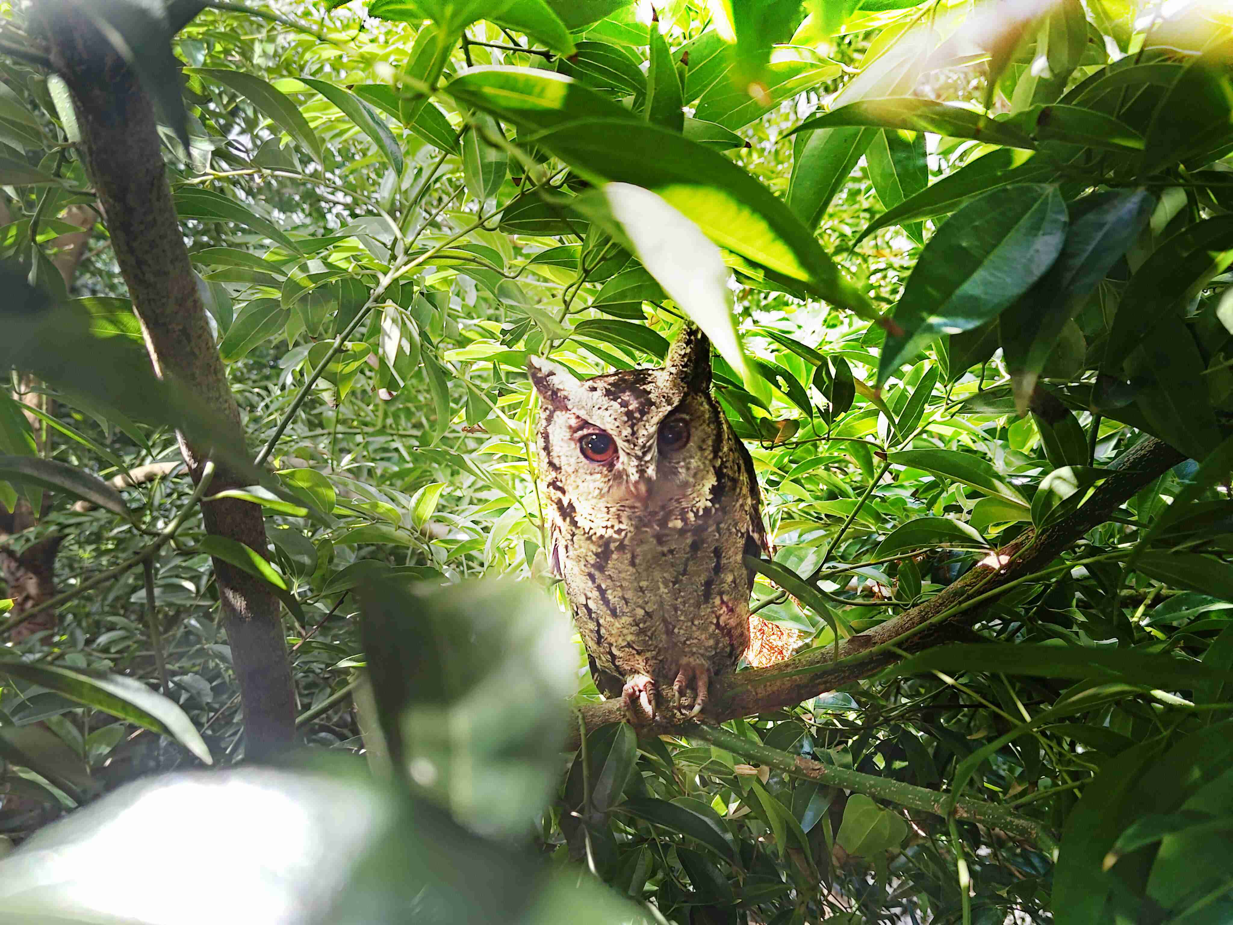 z6mg·人生就是博致力提倡净零绿生活，，，16年以来在全球各厂区植树逾百万棵，，，造就各厂区树木蔚然成林，，，犹如森林工厂，，，，成为许多生物的栖息地